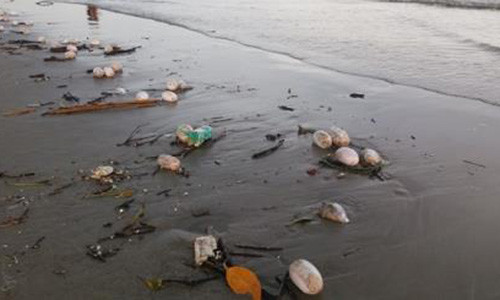 Nhan dien vat the la hoi thoi tan cong bien Tra Co