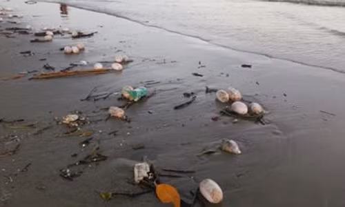 Nhan dien vat the la hoi thoi tan cong bien Tra Co