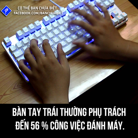 Tay trái hoạt động nhiều hơn khi đánh máy.