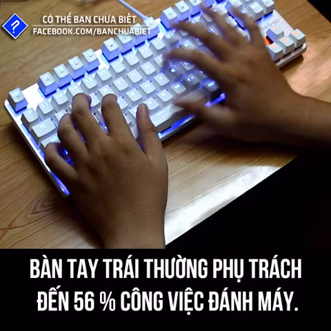 Tay trái hoạt động nhiều hơn khi đánh máy.