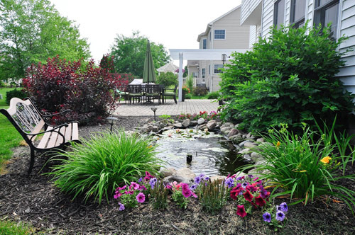 Hồ cá nhỏ trong vườn do chồng chị đảm nhiệm chăm sóc.