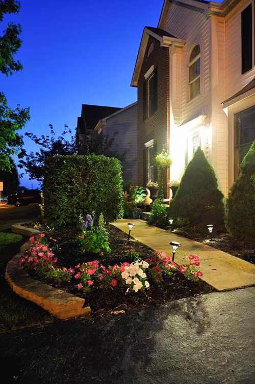 Khu vườn hoa sáng rực khi đêm xuống.