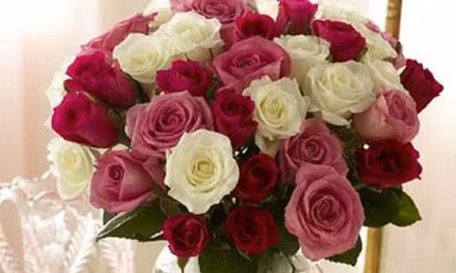 Cam hoa the nao cho hop phong thuy de phat tai phat loc?