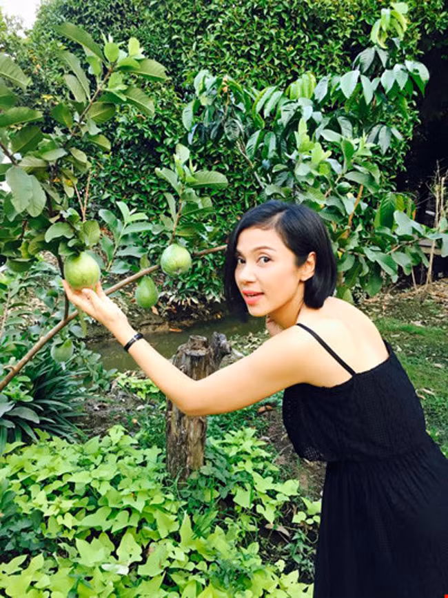 Việt Trinh cũng là mỹ nhân nổi tiếng thời đóng cặp cùng Lý Hùng. Hiện tại cô chọn cho mình không gian sống yên tĩnh ở vùng ngoại ô thuộc tỉnh Bình Dương.