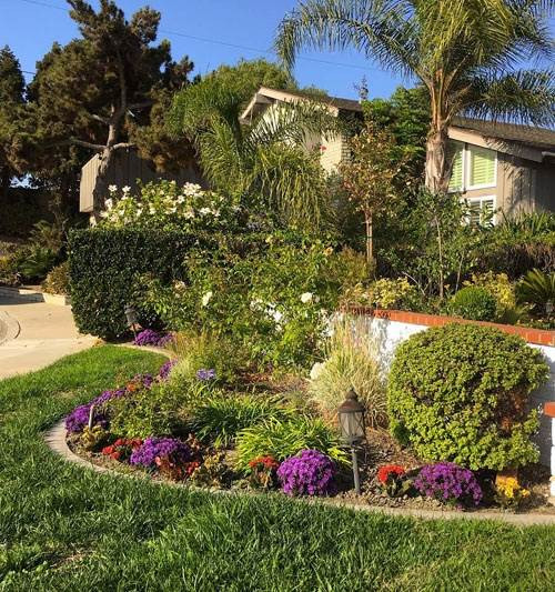 Căn biệt thự được thiết kế khá quy củ từ đường đi cho đến khuôn viên trồng từng loại cây.