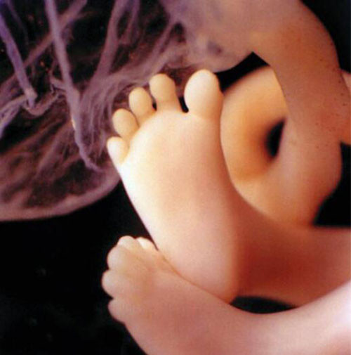 Những bức ảnh chân thực đến mức các bác sĩ siêu âm cũng phải kinh ngạc.