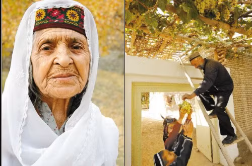 Có thể bạn không tin, nhưng có một bộ tộc 900 năm không có người mắc bệnh ung thư là có thật. VnExpress đưa tin, theo Thepdi.com, bộ tộc Hunzas dân số 30.000 người sống ven những đỉnh núi của dãy Himalaya nằm ở điểm cực bắc của Ấn Độ, nơi biên giới Kashmir, Trung Quốc, Ấn Độ và Afghanistan giáp ranh.