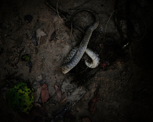 Trên thực tế, phụ nữ sống ở bên ngoài bìa rừng rất dễ bị động vật hoang dã tấn công, bao gồm các loài rắn độc. Có nhiều cô gái trong lúc bị đuổi đi đã bị rắn độc cắn chết. Trong rừng cũng thường có đám cháy. Vào những đêm mùa hè rất dễ phát sinh hỏa hoạn và đôi khi phụ nữ đang đến kỳ kinh nguyệt, bị đuổi ra khỏi làng cũng bị chết cháy khi đang ngủ.