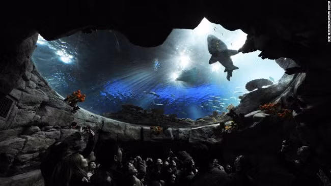 Công viên Hải dương ở Hong Kong.