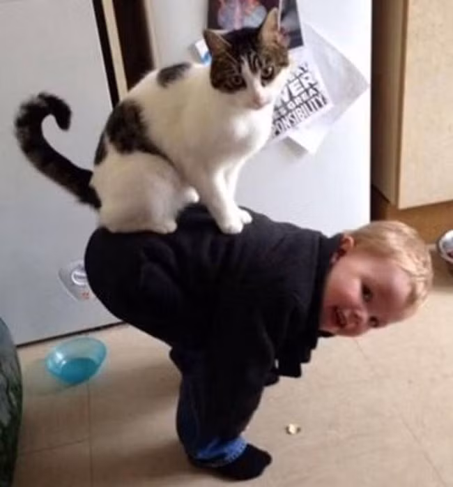 Anh làm ngựa cho mà cưỡi rồi nhé.