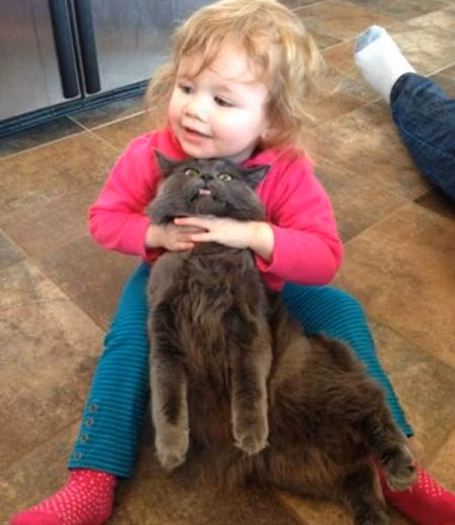 Bỏ tay ra đi, khó thở quá.