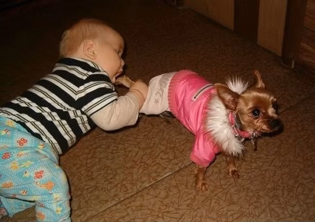 Lại đây anh cắn miếng xem nào.