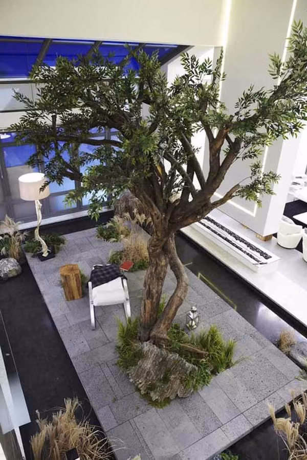 “Vì sao đưa anh tới” là câu chuyện về Do Min Joon - người sống trong triều đại Joseon lạc tới trái đất thời hiện tại. Anh bị mắc kẹt trên trái đất trong 4 thế kỷ và dần thích nghi được với cuộc sống ở thế giới hiện đại. Tình cờ, chàng giáo sư đại học gặp gỡ với nữ diễn viên Song Yi và cũng là hàng xóm, học viên của anh. Câu chuyện của họ bắt đầu với hàng loạt rắc rối và tình tiết vừa lãng mạn, vừa gay cấn.