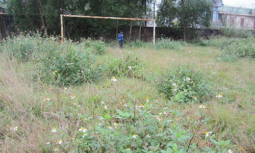 4.000 m2 mặt sân bóng bị bỏ hoang hơn 2 năm qua, cỏ mọc um tùm, lãng phí quá lớn. N.V