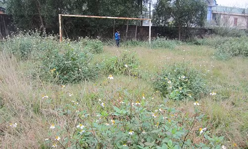 4.000 m2 mặt sân bóng bị bỏ hoang hơn 2 năm qua, cỏ mọc um tùm, lãng phí quá lớn. N.V