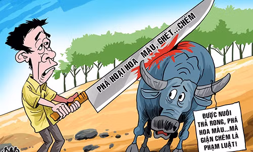 Chem dan trau pha hoa mau, nguoi dan ong bi xu toi gi?