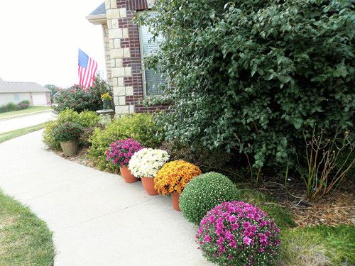 Hàng xóm người Mỹ cùng trầm trồ trước khuôn viên ngôi nhà rực rỡ sắc màu của chị.