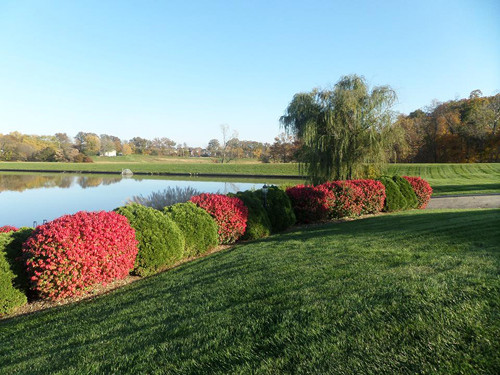 Không khí trong lành và thời tiết khá tốt cho các loài hoa.