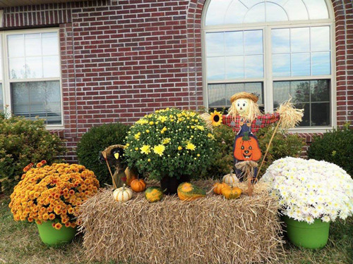 Một góc khu vườn được trang trí lạ mắt trong mùa lễ hội Halloween.