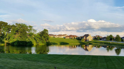 Trước cửa khu nhà của gia đình chị là hồ nước trong veo và những thảm cỏ mênh mông đẹp không kém gì những công viên lớn.