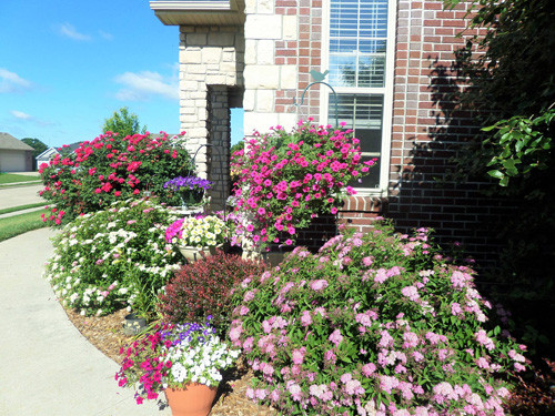 Sống cùng gia đình nhỏ tại Mỹ trong ngôi nhà rộng gần 1 hecta, bà mẹ người Việt - Phạm Thị Thúy khiến đông đảo hàng xóm người Mỹ phải trầm trồ ngưỡng mộ bởi vườn hoa đẹp mê mẩn được trồng xung quanh căn nhà.