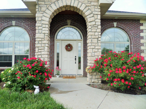 Hai bên cửa ra vào là hai bụi hồng nở bông chi chít.