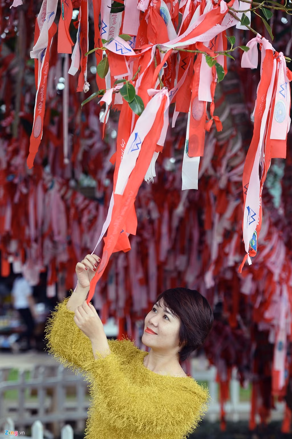 Lời nguyện ước của du khách và các cặp đôi treo trên cây tại thung lũng.