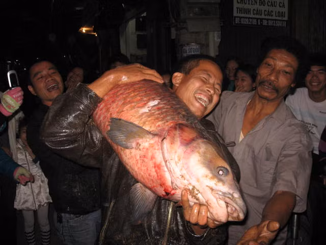 Chuyen gia san ca va chuyen bat tram den nang 2,5 ta-Hinh-2