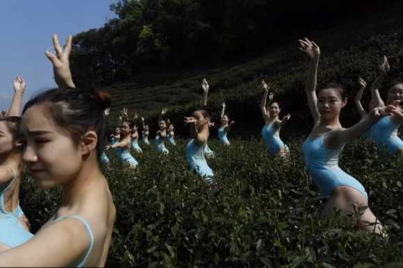 Biểu diễn các kỹ thuật khó.