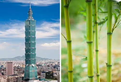 Hình dáng của tòa tháp 101 tại Đài Bắc như một thân cây tre với 8 khúc. Mẫu thiết kế kiến trúc hấp dẫn lấy cảm hứng từ thiên nhiên này biểu trưng cho sự tăng trưởng tốt, và mỗi khúc lại gồm 8 tầng.