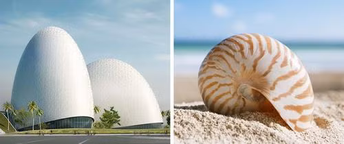 Trung tâm kiểm soát dịch bệnh tại Đài Loan có hình dáng được thiết kế như một vỏ ốc biển.