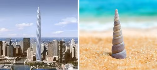 Chicago Spire là một dự tòa nhà chọc trời được xây dựng ở Chicago, Illinois. Hình dáng của nó trông như một vỏ ốc nhọn đâm thẳng lên nền trời.