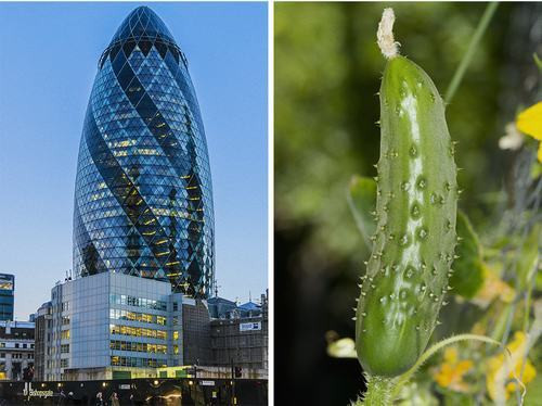 Tòa nhà chọc trời này tại London do kiến trúc sư Norman Foster thiết kế có tên chính thức là 30 St Mary Axe. Tuy nhiên, người dân Anh thường gọi tên công trình này là “tòa nhà dưa chuột”.