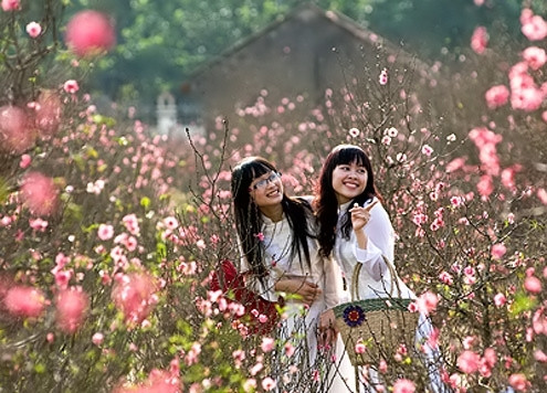 Thời tiết các tỉnh miền Bắc trong kỳ Tết Nguyên đán ít có khả năng rét đậm (Ảnh minh họa)