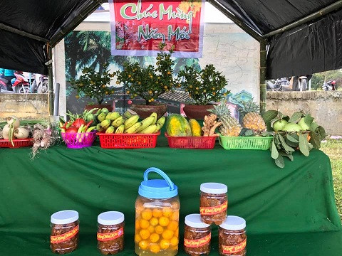 Ngày “Hội quật cảnh Cẩm Hà – Hội An 2017” là điểm đến phù hợp để người dân và du khách có thể nhìn ngắm và mang về một chậu cây vốn tượng trưng cho tài lộc và viên mãn trong dịp Tết đến xuân về.