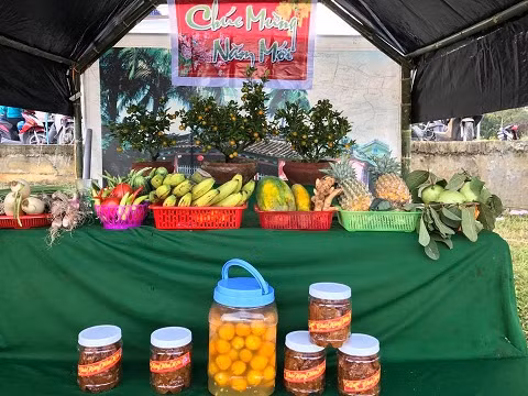 Ngày “Hội quật cảnh Cẩm Hà – Hội An 2017” là điểm đến phù hợp để người dân và du khách có thể nhìn ngắm và mang về một chậu cây vốn tượng trưng cho tài lộc và viên mãn trong dịp Tết đến xuân về.