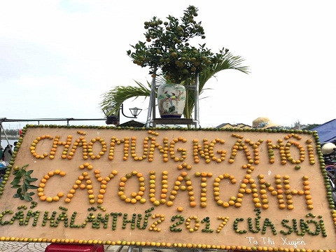 Có diện tích đất nông nghiệp 222,43 hecta, phần lớn dành cho việc trồng quất cảnh, từ Cẩm Hà, những cây quật tuyệt đẹp tỏa đi khắp các tỉnh thành trong cả nước, đã mang lại nguồn thu nhập đáng kể cho người dân địa phương và góp phần làm cho hương sắc ngày xuân đất Việt càng thêm rực rỡ.