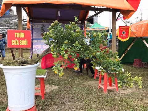 Không gian lễ hội trở nên hấp dẫn và ý nghĩa hơn bởi sự góp mặt của rất đông du khách và những món ẩm thực địa phương được phục vụ miễn phí, mang lại sự ấm áp và thân thiện giành cho những du khách phương xa.