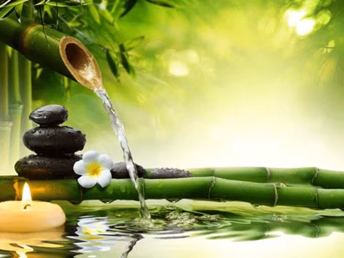 Dat sai vat dung trong nha, coi chung tan gia bai san