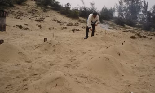 Noi dau tot cung cua nguoi cha chon 12 con trong cat