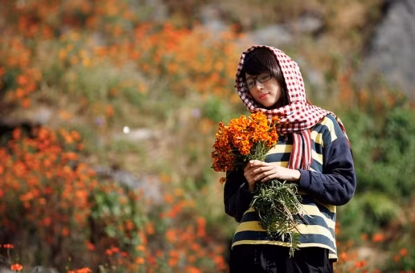 Cúc dại Hà Giang là loài hoa cứng cỏi, màu sắc hoa dù đã tàn nhưng vẫn giữ nguyên sắc cam mạnh mẽ, cành hoa dẫu được hái đem về cũng không bị dập nát, như những con người chịu khó, một nắng hai sương của vùng đất nghèo khó nơi đây. Giữa tiết trời hao hao cuối thu, cúc dại nở những nụ cười rạng rỡ nhất để đón đông sang, gió lạnh về.