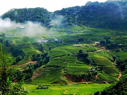 Mai Châu - Hòa Bình: Thời tiết cao nguyên Mai Châu vào mùa đông không quá lạnh như những điểm đến trên. Tuy trên khung cảnh cao nguyên này vô cùng bình dị và tươi đẹp, du khách có thể được chiêm ngưỡng những vạt hoa dại nhiều màu sắc, những chú bò thong dong gặm cỏ trên thảo nguyên bao la.