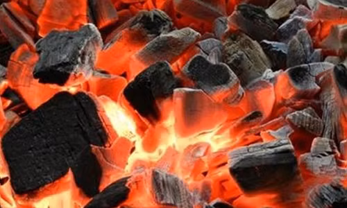 Tram cam sau sinh vi kieng cu suoi than giua troi 37 do