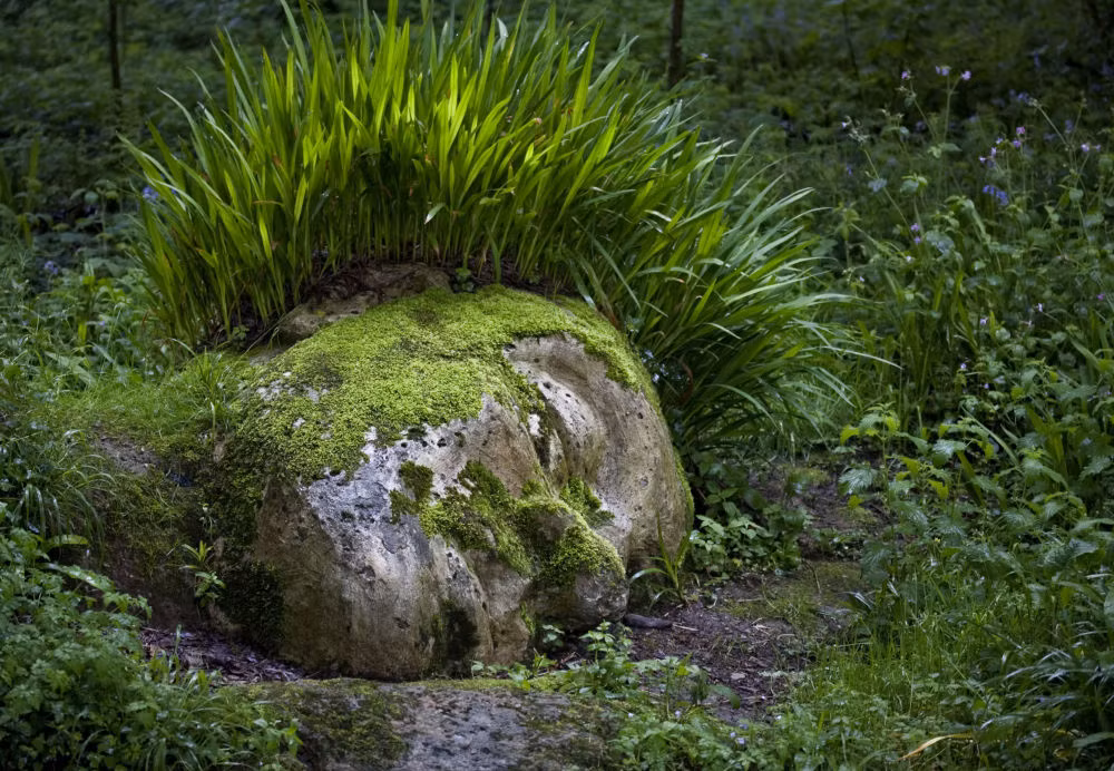 Tác phẩm điêu khắc trong Công viên Lost Heligan ở lãnh địa Cornwall.