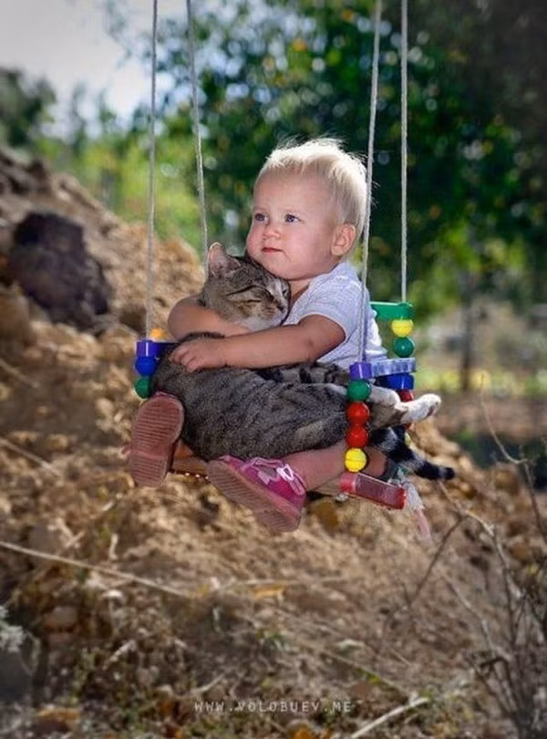 Cậu bé ôm chặt chú mèo.