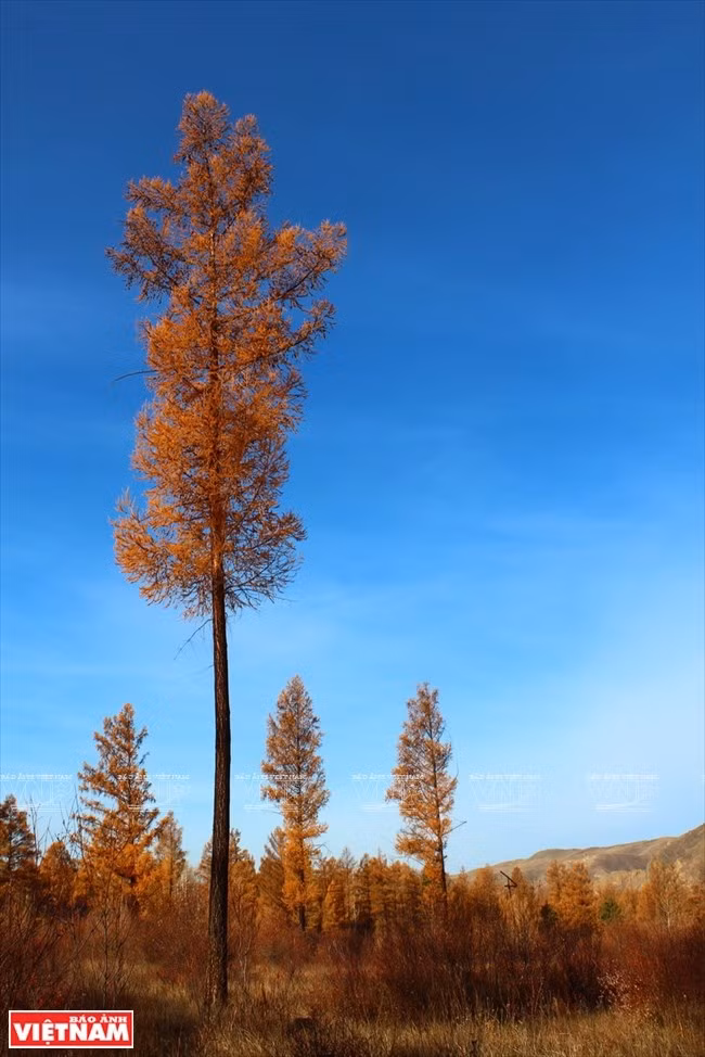 Kham pha dai ban doanh cua Thanh Cat Tu Han-Hinh-13