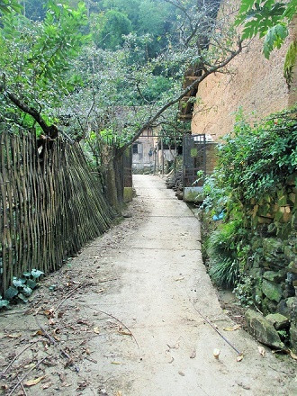 Thôn Thiên Hương là nơi cư trú của trên 40 hộ dân tộc Tày, Mông, Giáy, Nùng,... trong đó dân tộc Tày chiếm đa số với hơn 200 nhân khẩu. Là thôn vùng cao của thị trấn Đồng Văn cùng với đường sá đi lại khó khăn và đặc thù khí hậu khắc nghiệt, nên người dân nơi đây sinh sống chủ yếu theo phương thức tự cung tự cấp bằng các nghề trồng trọt (ngô, lúa, rau màu) và chăn nuôi (trâu, bò, lợn, gà, ngựa bạch, chim bồ câu).