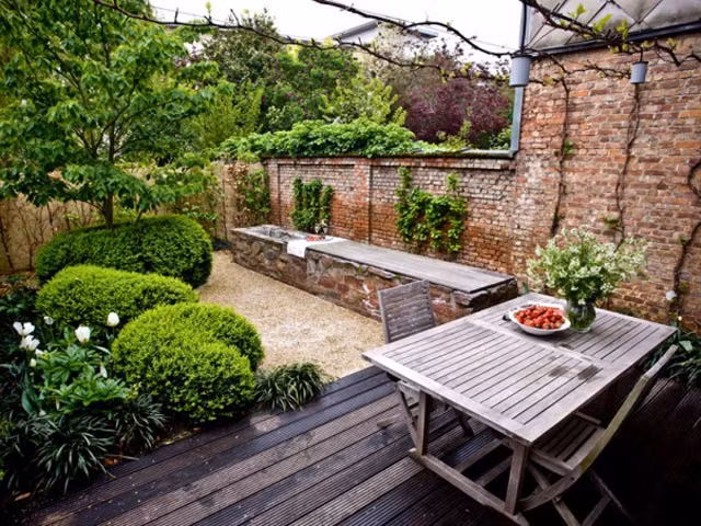 4. Trồng cây để bảo vệ vườn Cây ăn quả chiếm ít không gian trong khu vườn thành phố nhưng ra hoa và kết trái khá đẹp. Những loại cây ăn quả leo giàn còn có tác dụng bao phủ và làm xanh bức tường trống trải.