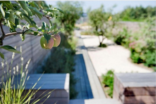 3. Trồng cây ăn quả Trong thế kỷ 18 và 19, rất ít người làm vườn có đủ khả năng để mua những giống cây cảnh đắt tiền. Thay vào đó, họ trồng trái cây. Vườn rộng trồng cây ăn trái lớn, vườn nhỏ trồng các loại cây ăn quả lùn. Ngoài trái cây, cây ăn trái còn ra hoa vào mùa xuân hay trông như một bức tượng điêu khắc xương xẩu giữa trời tuyết khi đông về.