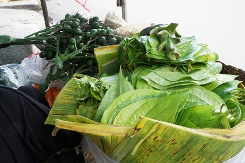 Nguồn cung cấp cau trầu cho khu chợ này cũng khá đa dạng, trước đây các tiểu thương thường lấy cau trầu từ địa danh 18 thôn vườn trầu Bà Điểm - Hóc Môn, vì cau ở đây có quanh năm. Nhưng những năm gần đây, trầu cau Hóc Môn bị đốn dần, không còn đủ cung cấp nên những tháng cuối năm, tiểu thương phải lấy thêm trầu cau từ Bến Tre, Tây Ninh, Quãng Ngãi... mới phục vụ đủ cho nhu cầu cưới hỏi, lễ tết.